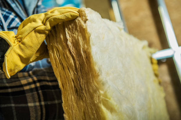 Best Geographic-Specific Insulation Services in Fairfield Plantation, GA